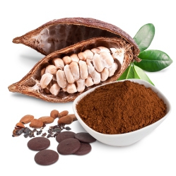 Cacao
